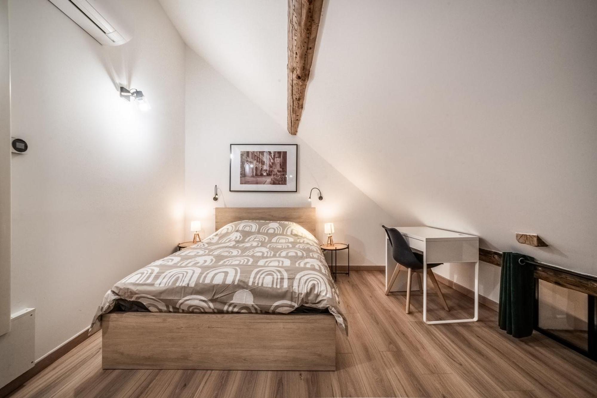 Coeur Vieille Ville Annecy Ngoại thất bức ảnh